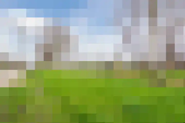 Schaepmanhoeve 71 Waddinxveen thumbnail 40
