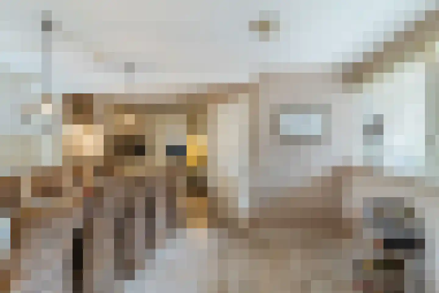 Schaepmanhoeve 81 Waddinxveen thumbnail 14
