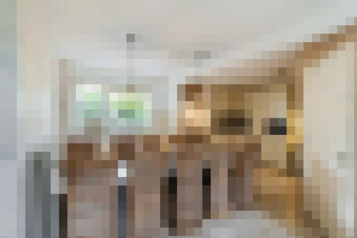 Schaepmanhoeve 81 Waddinxveen thumbnail 15
