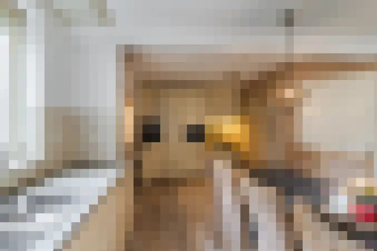 Schaepmanhoeve 81 Waddinxveen thumbnail 18