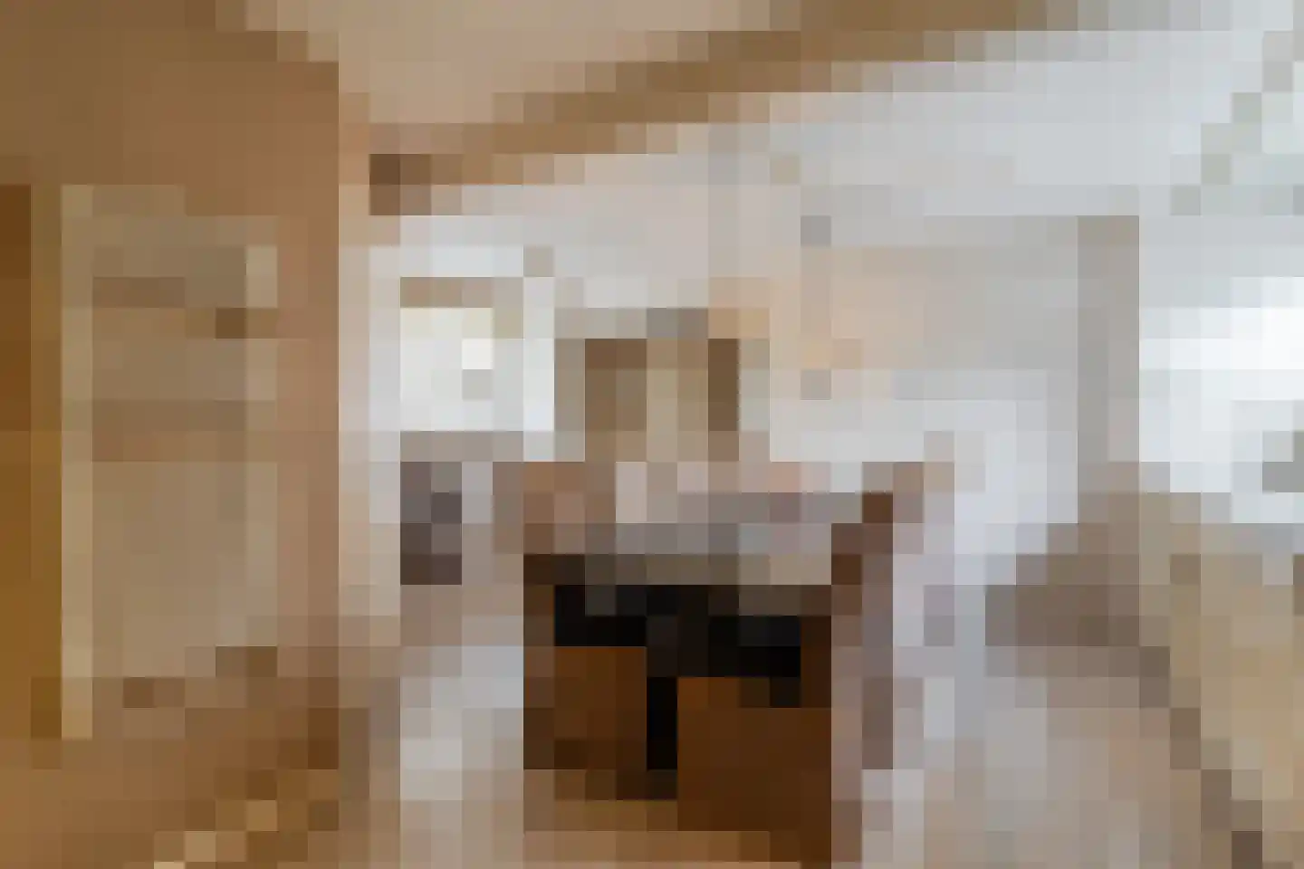 Schaepmanhoeve 81 Waddinxveen thumbnail 21