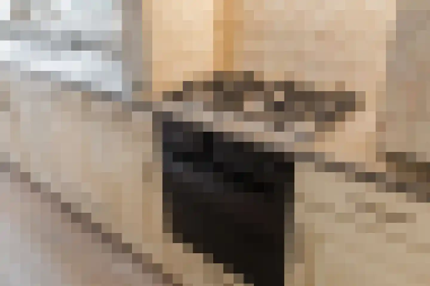 Schaepmanhoeve 81 Waddinxveen thumbnail 22