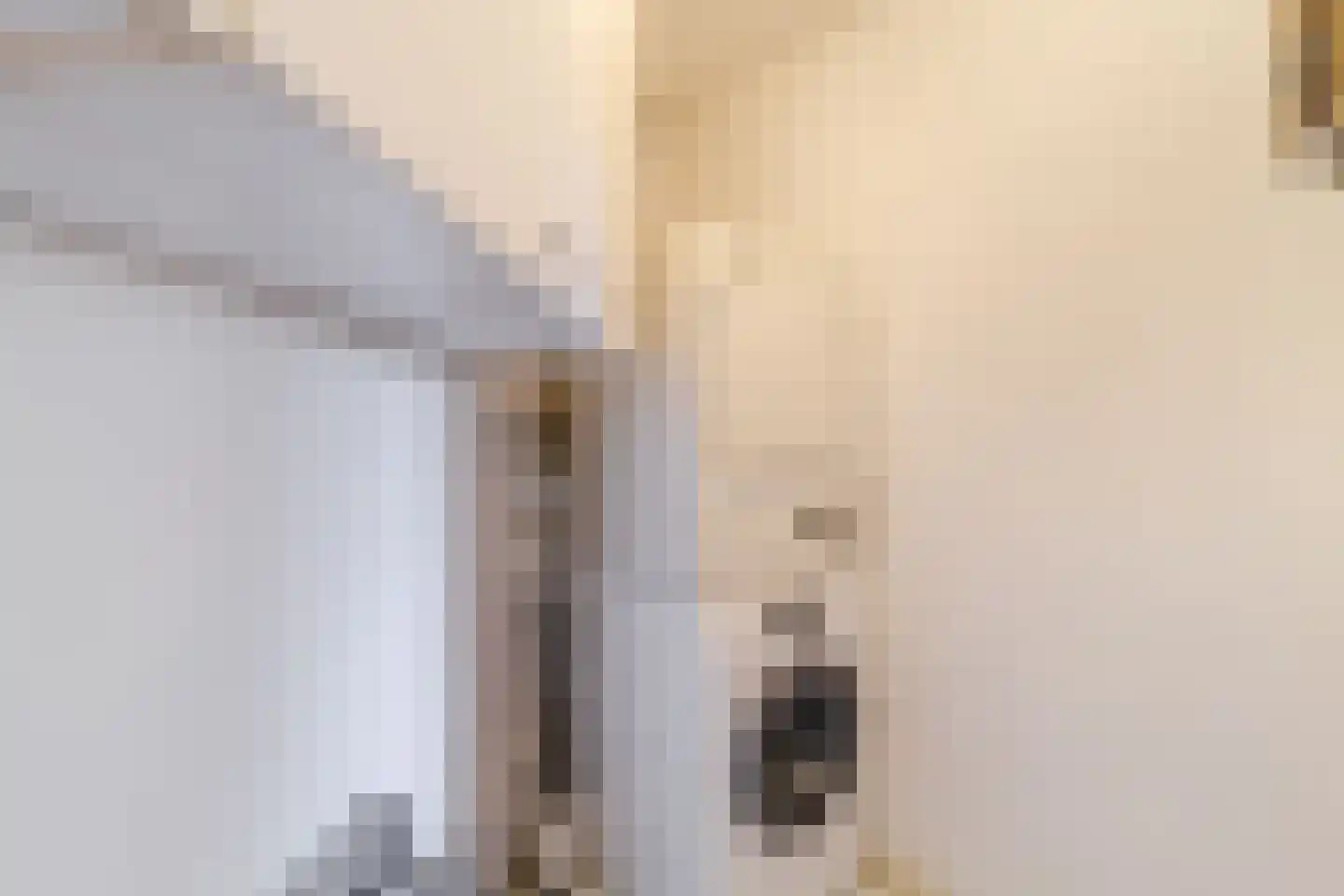 Schaepmanhoeve 81 Waddinxveen thumbnail 25