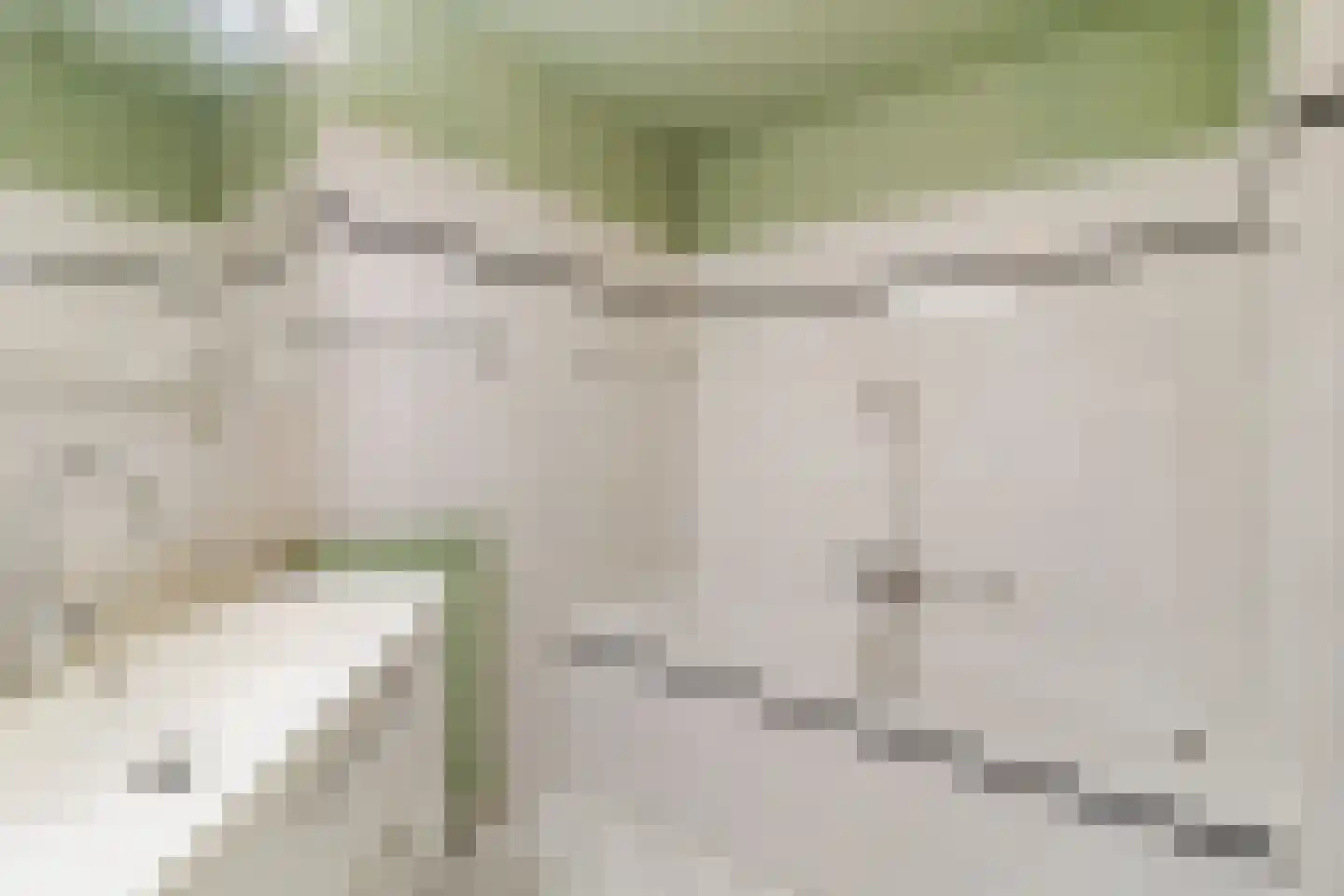 Schaepmanhoeve 81 Waddinxveen thumbnail 42