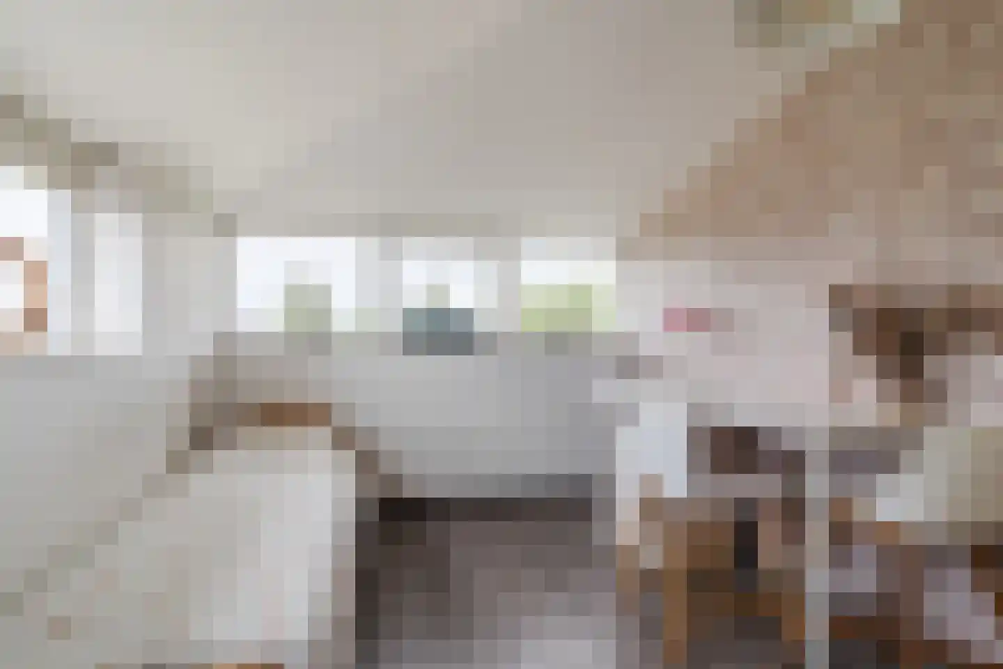 Schaepmanhoeve 81 Waddinxveen thumbnail 48