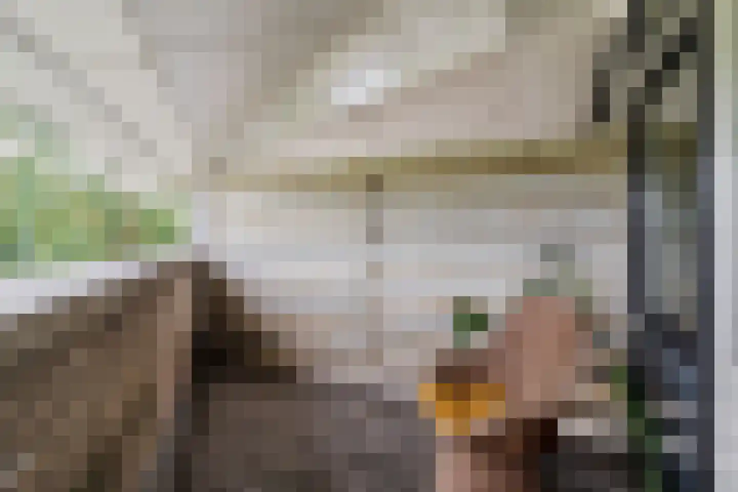 Schaepmanhoeve 81 Waddinxveen thumbnail 57