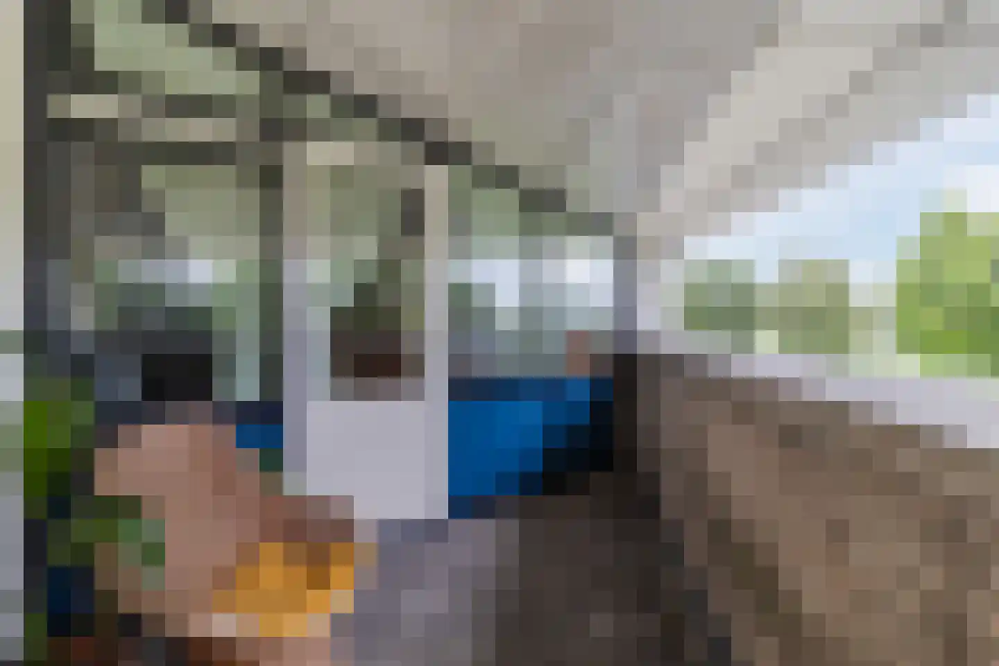 Schaepmanhoeve 81 Waddinxveen thumbnail 58