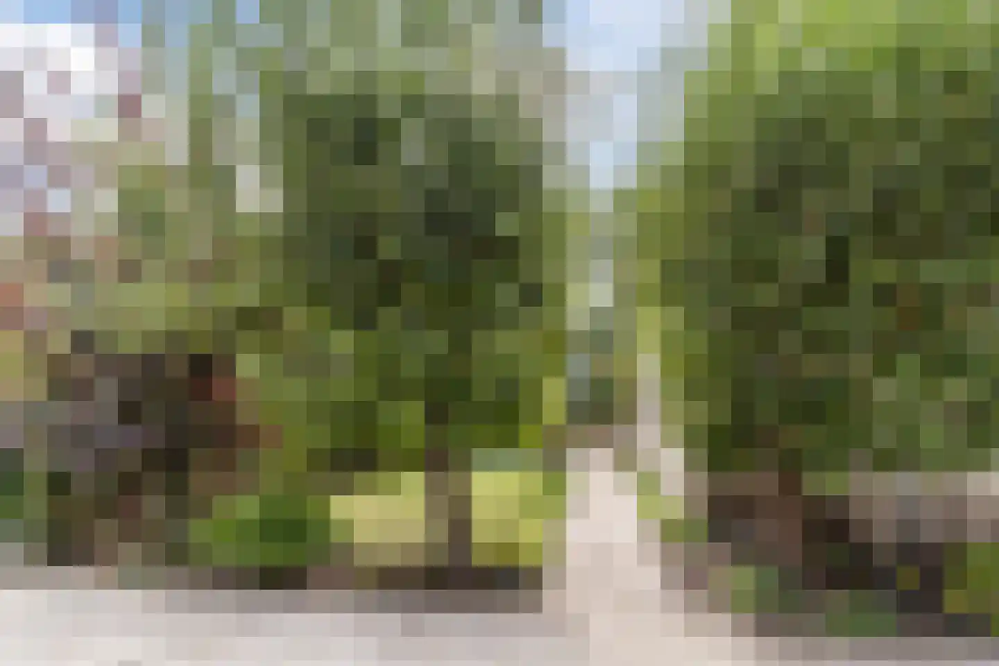 Schaepmanhoeve 81 Waddinxveen thumbnail 63