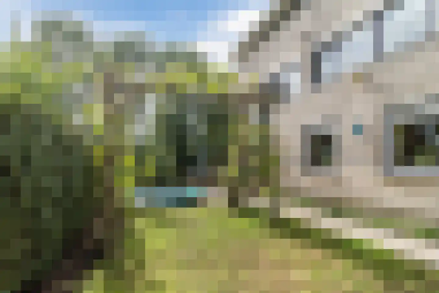 Schaepmanhoeve 81 Waddinxveen thumbnail 64