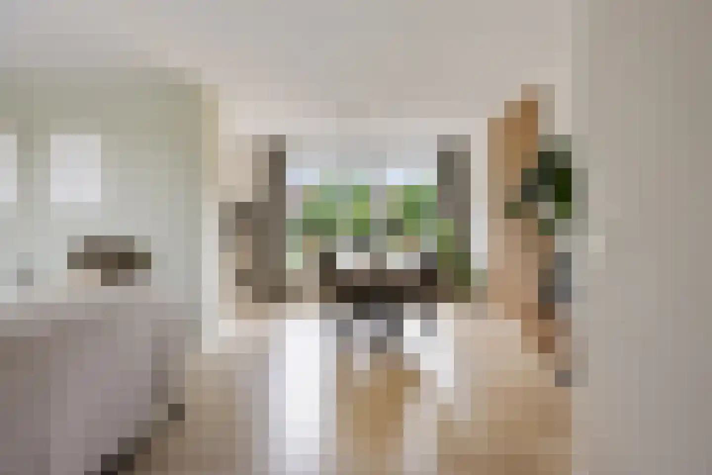Schaepmanhof 9 Barneveld thumbnail 12