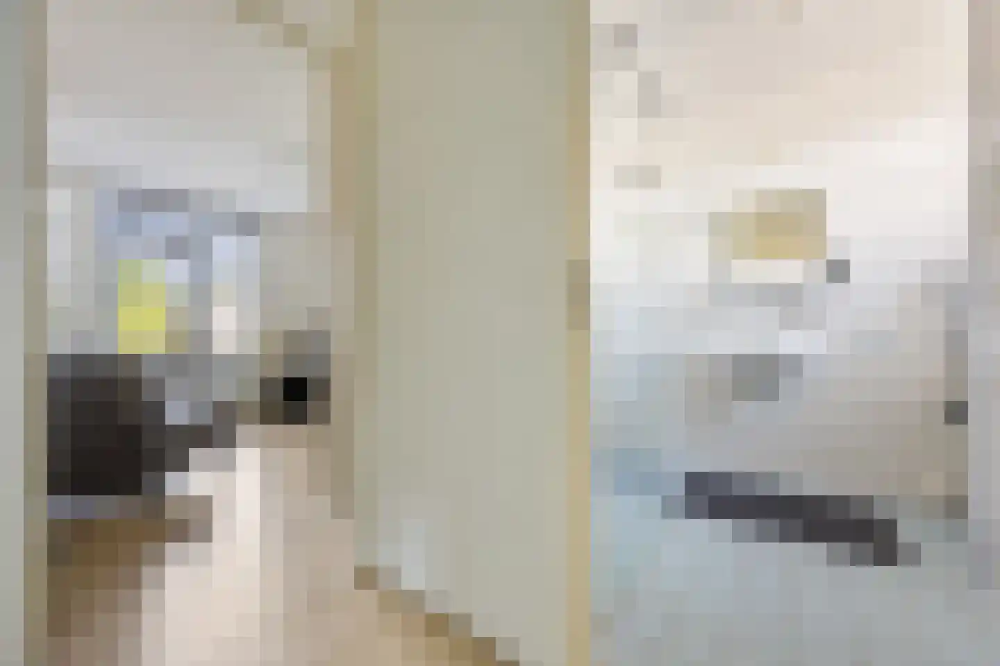 Schaepmanhof 9 Barneveld thumbnail 17