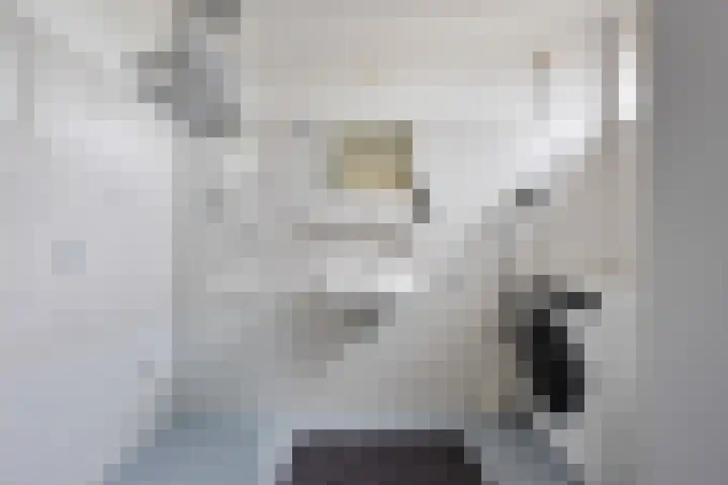 Schaepmanhof 9 Barneveld thumbnail 18