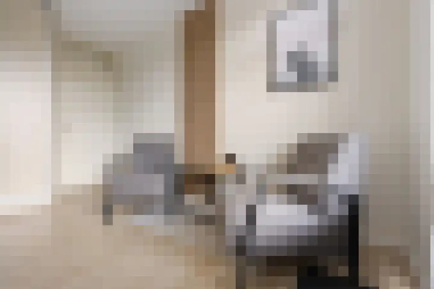 Schaepmanhof 9 Barneveld thumbnail 19