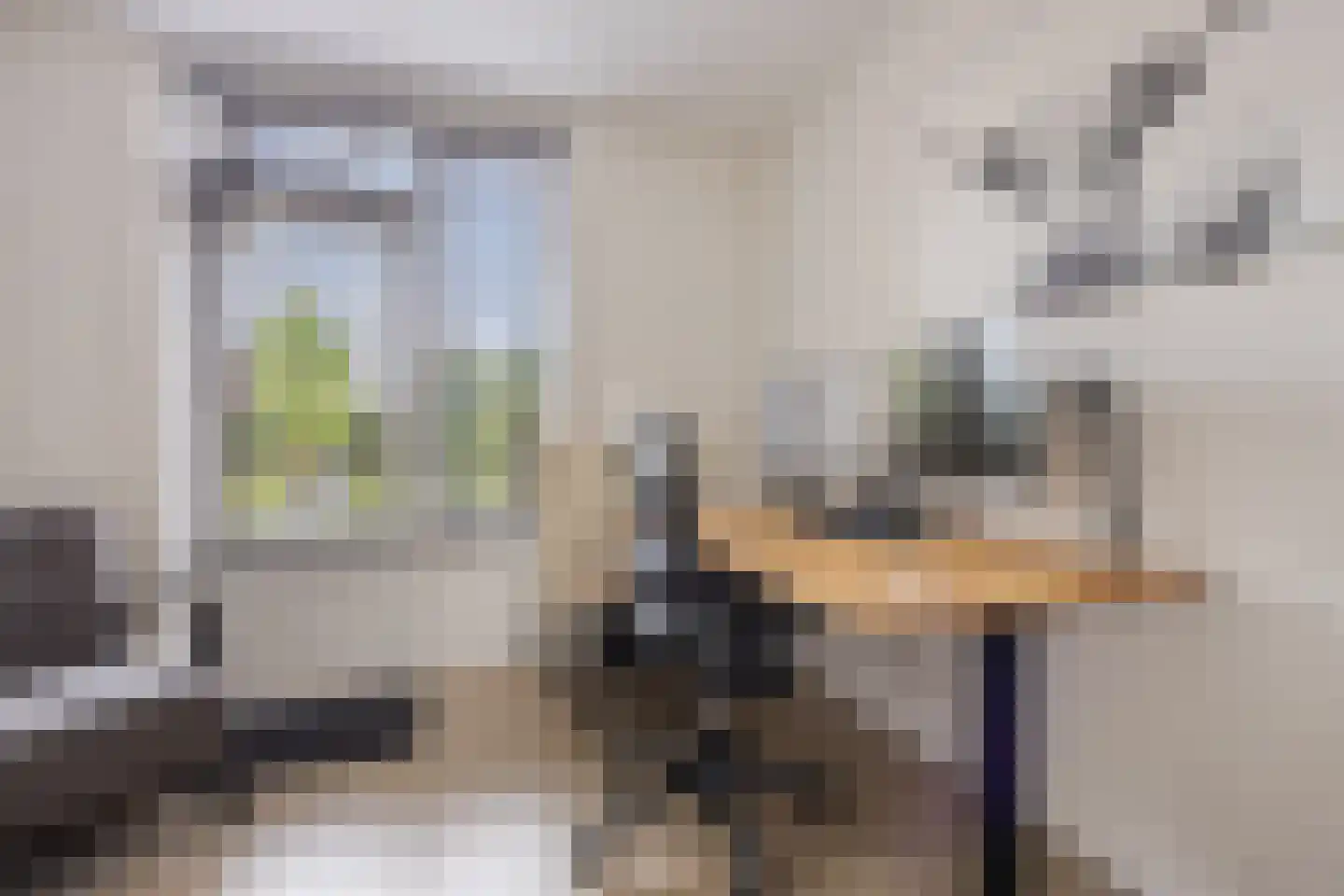 Schaepmanhof 9 Barneveld thumbnail 20