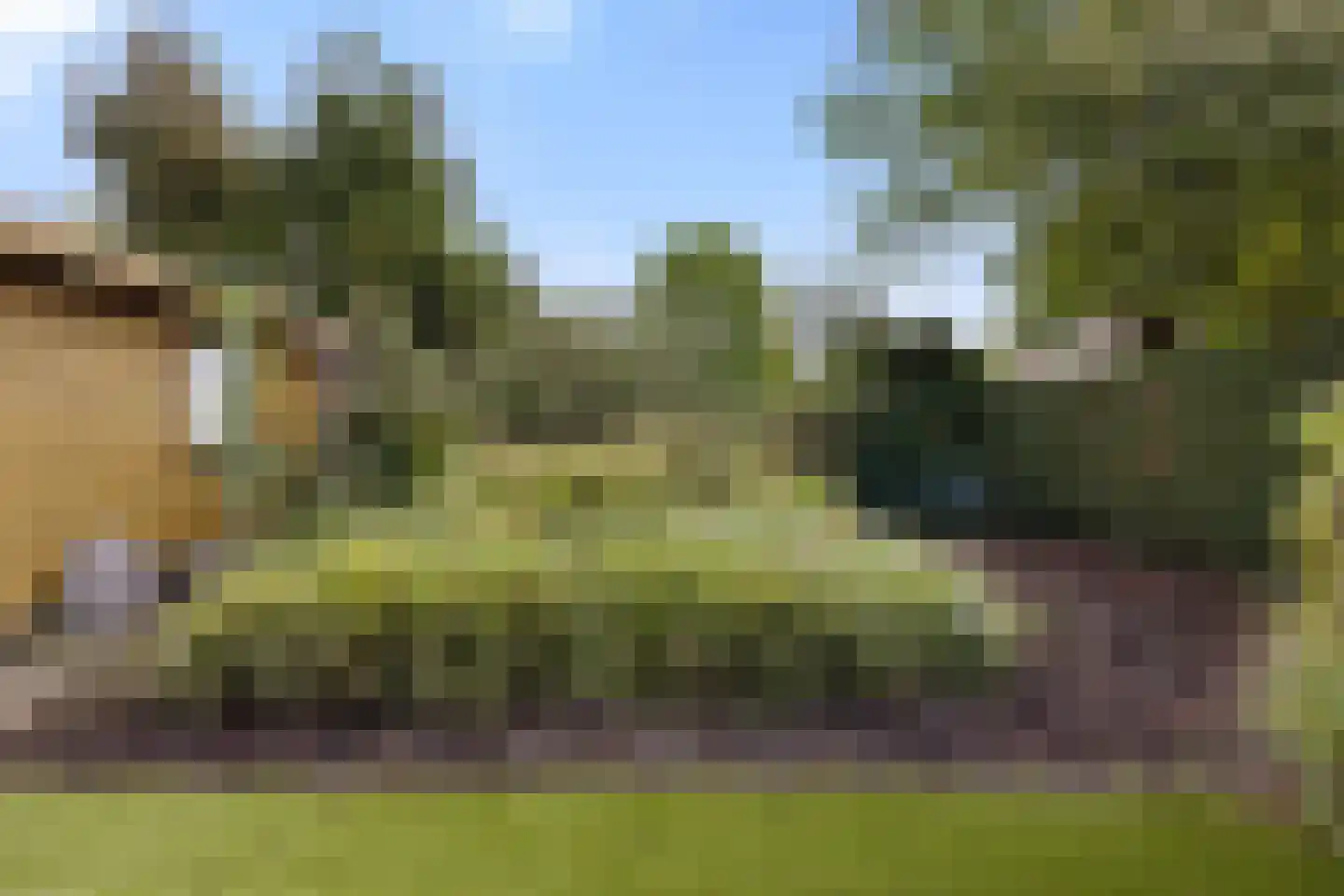 Schaepmanhof 9 Barneveld thumbnail 30