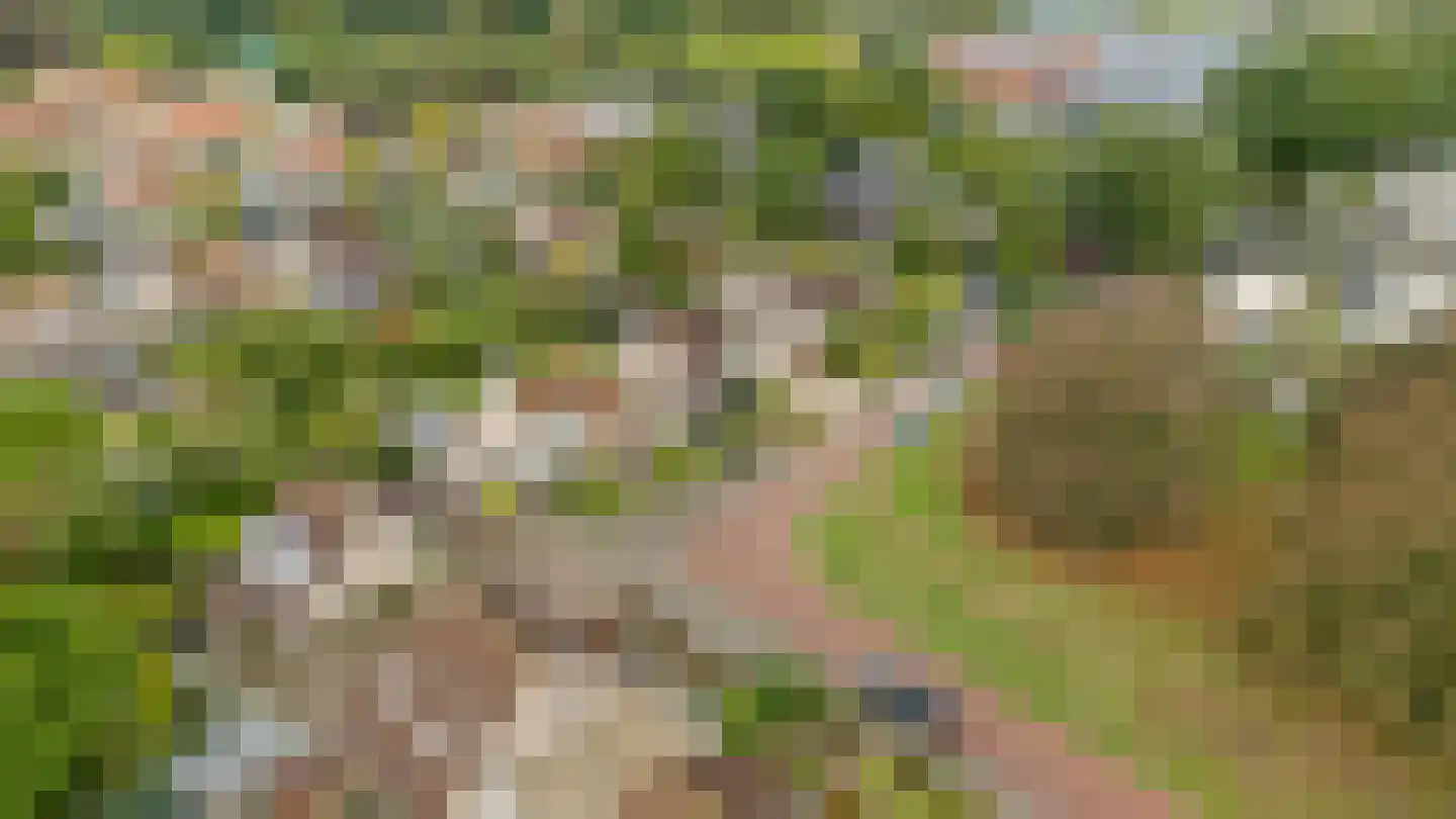Schaepmanhof 9 Barneveld thumbnail 5