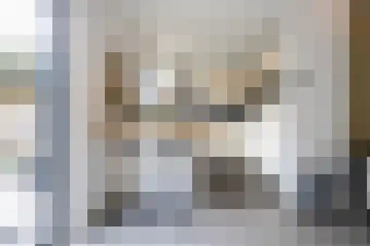 Schaepmanlaan 1 Driehuis NH thumbnail 12