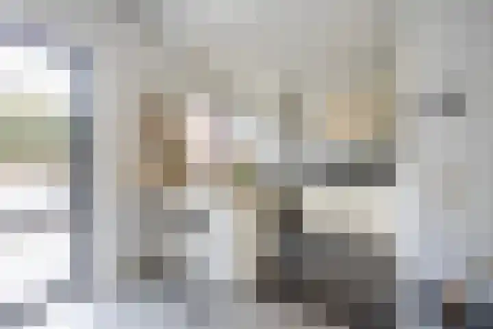 Schaepmanlaan 1 Driehuis NH thumbnail 13