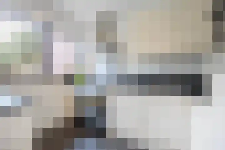Schaepmanlaan 1 Driehuis NH thumbnail 14