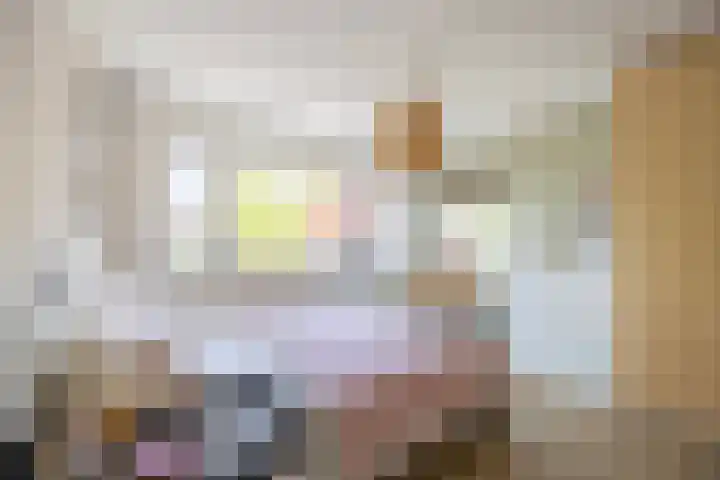 Schaepmanlaan 1 Driehuis NH thumbnail 19