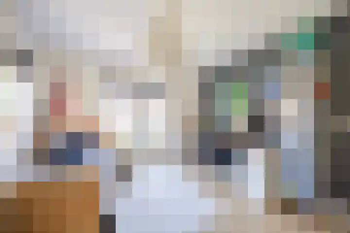 Schaepmanlaan 1 Driehuis NH thumbnail 23