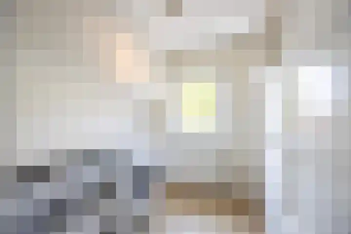 Schaepmanlaan 1 Driehuis NH thumbnail 31