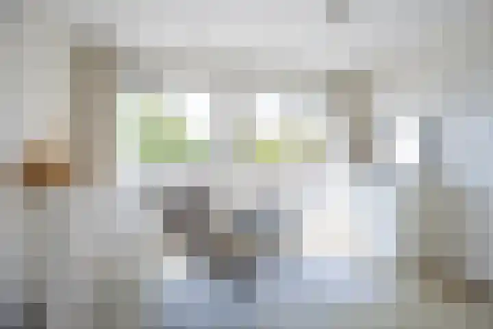 Schaepmanlaan 1 Driehuis NH thumbnail 33