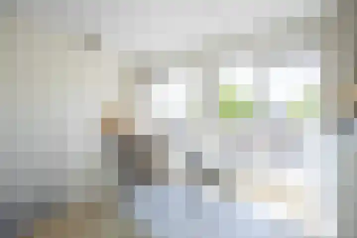 Schaepmanlaan 1 Driehuis NH thumbnail 35