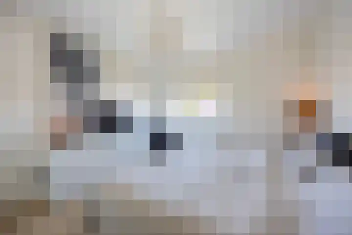 Schaepmanlaan 1 Driehuis NH thumbnail 36