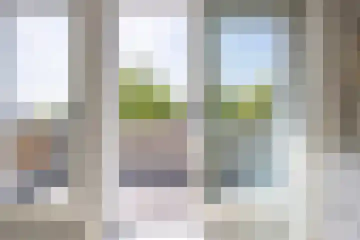 Schaepmanlaan 1 Driehuis NH thumbnail 39