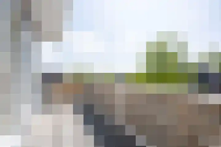 Schaepmanlaan 1 Driehuis NH thumbnail 40