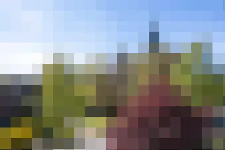 Schaepmanlaan 1 Driehuis NH thumbnail 41