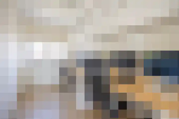 Schaepmanlaan 1 Driehuis NH thumbnail 42
