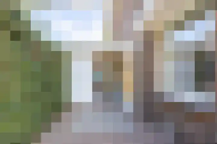 Schaepmanlaan 1 Driehuis NH thumbnail 43