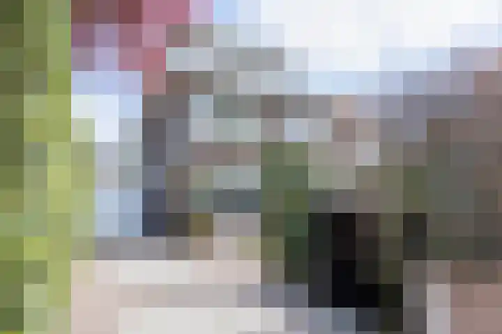 Schaepmanlaan 1 Driehuis NH thumbnail 46