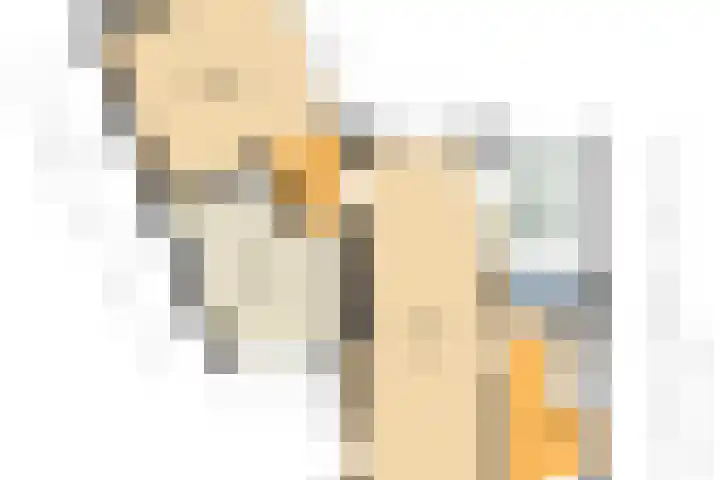 Schaepmanlaan 1 Driehuis NH thumbnail 48