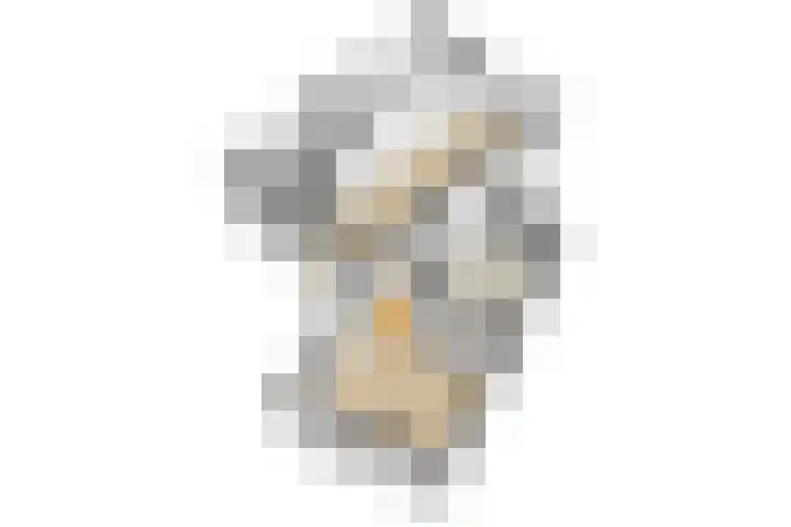 Schaepmanlaan 1 Driehuis NH thumbnail 49