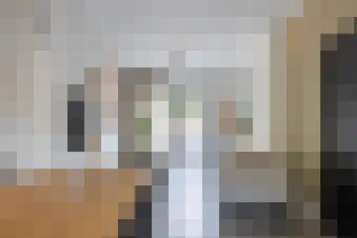 Schaepmanlaan 1 Driehuis NH thumbnail 5