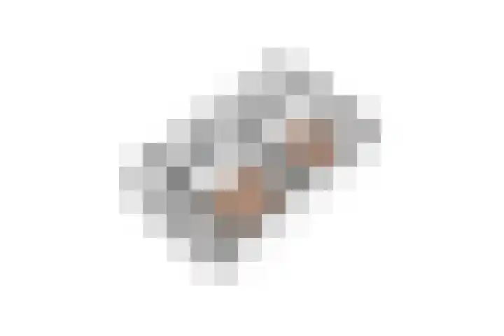 Schaepmanlaan 1 Driehuis NH thumbnail 51