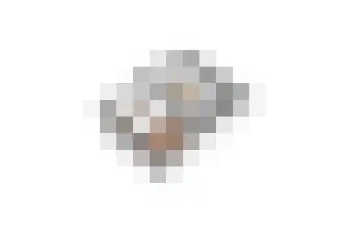 Schaepmanlaan 1 Driehuis NH thumbnail 53