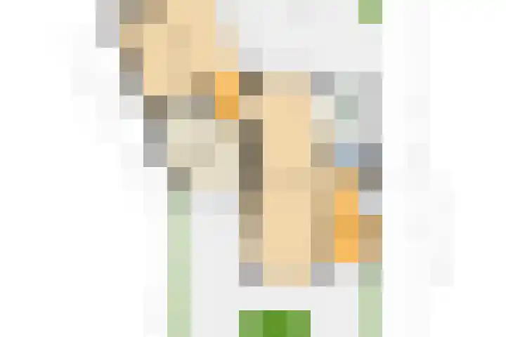 Schaepmanlaan 1 Driehuis NH thumbnail 54
