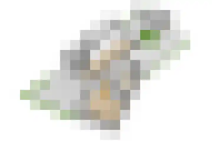 Schaepmanlaan 1 Driehuis NH thumbnail 55