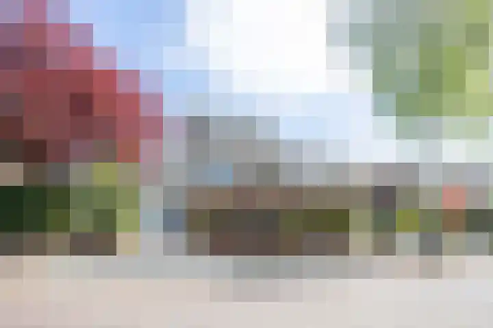 Schaepmanlaan 1 Driehuis NH thumbnail 56