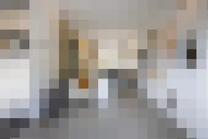 Schaepmanlaan 1 Driehuis NH thumbnail 7