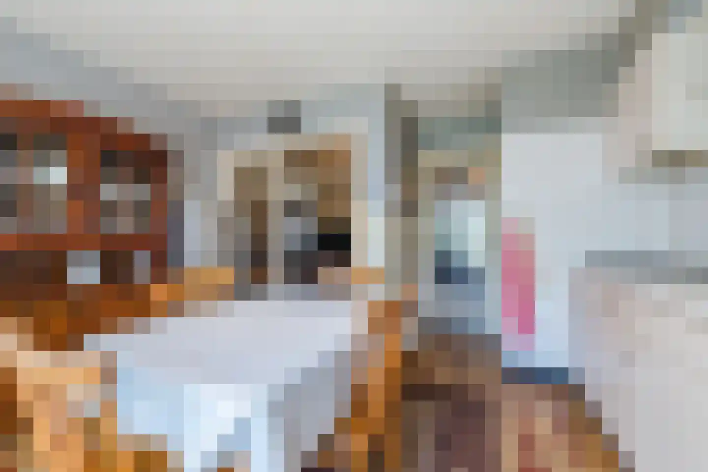 Schaepmanlaan 12 Heeze thumbnail 10