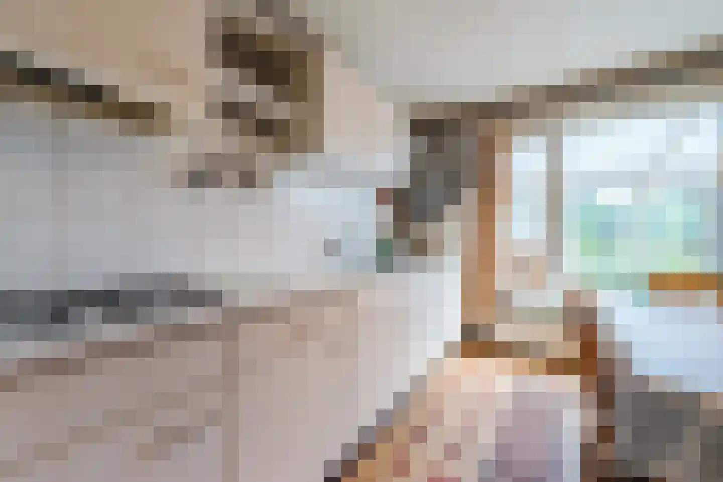 Schaepmanlaan 12 Heeze thumbnail 11
