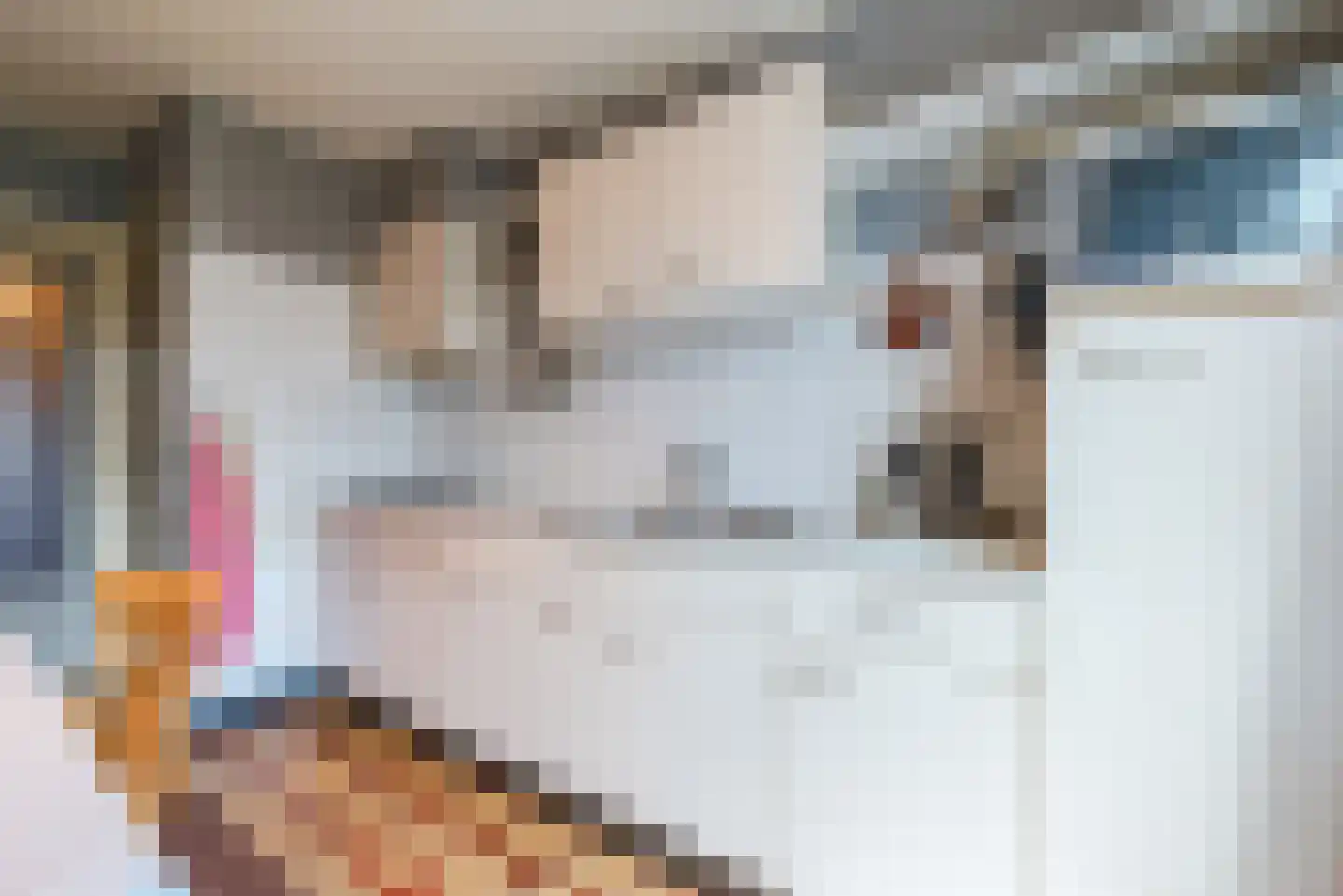 Schaepmanlaan 12 Heeze thumbnail 12