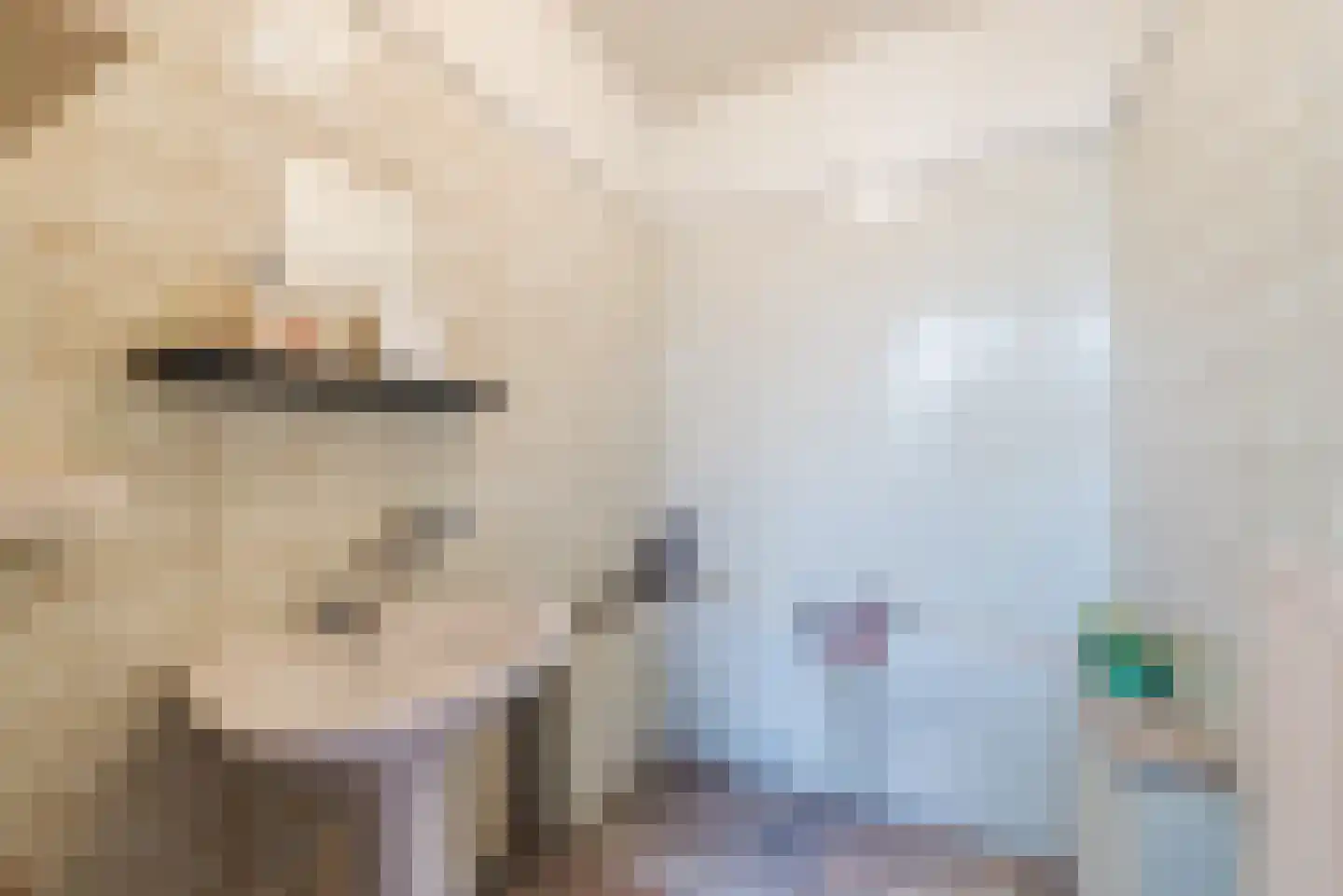 Schaepmanlaan 12 Heeze thumbnail 14