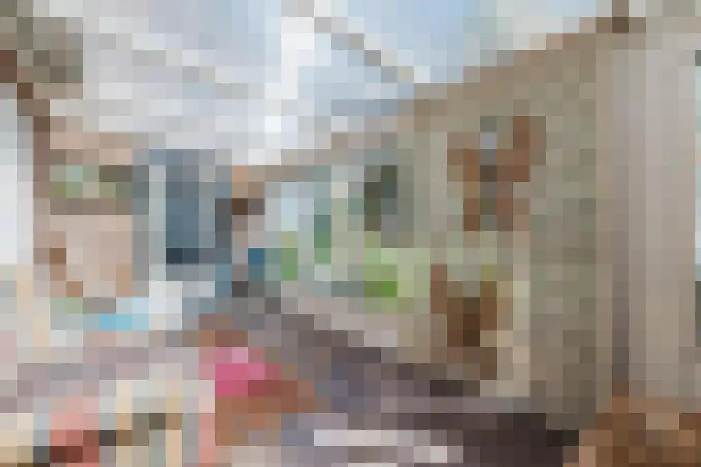 Schaepmanlaan 12 Heeze thumbnail 15