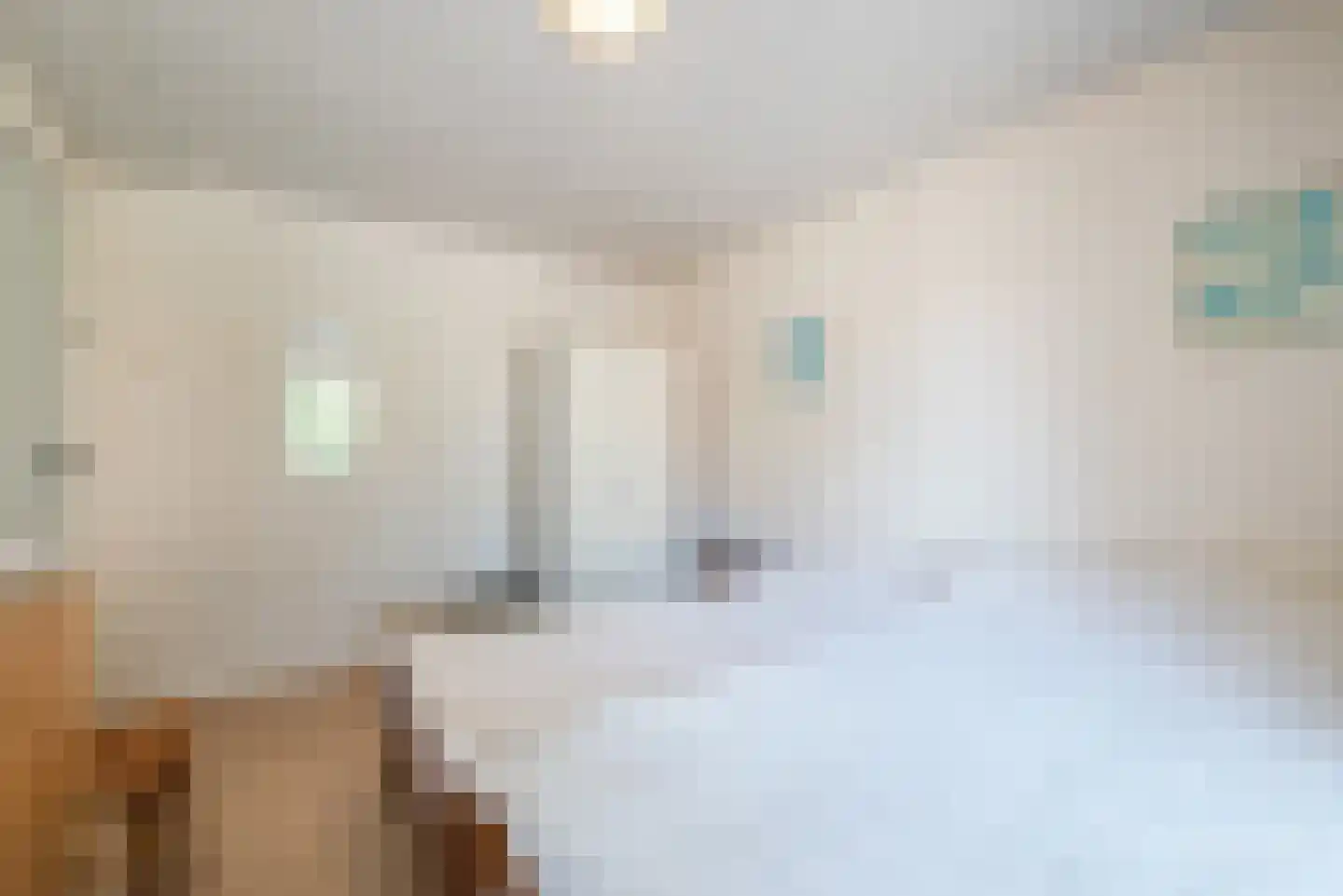 Schaepmanlaan 12 Heeze thumbnail 17